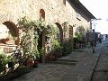 Castiglione della Pescaia (43)